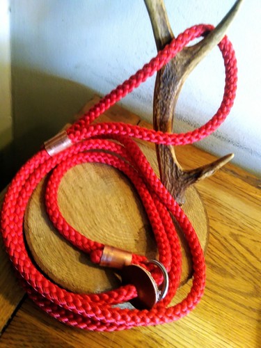Guinzaglio scivolo cane