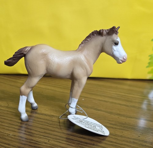 Collecta nuovo con scatola - scatola, *