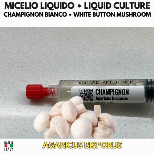 Coltura liquida champignon - coltura,