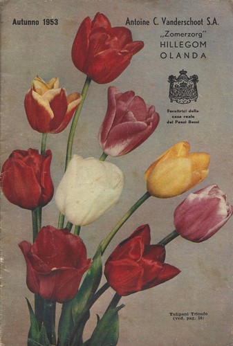 Catalogo vanderschoot 1953 - ,