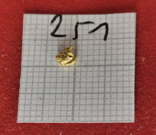 251 pepita oro vera alaska - #251,