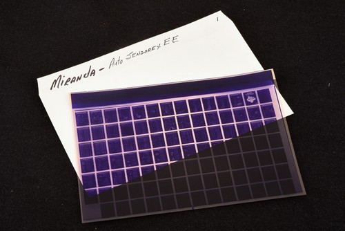 Miranda auto sensorex - sensorex, ee