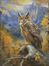 Saggezza in Montagna - Kit