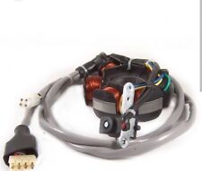 GENERATORE STATORE VOLANO