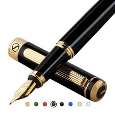 Penna stilografica Scrivener