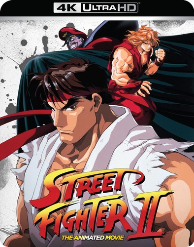 Street fighter the animated - fighter,