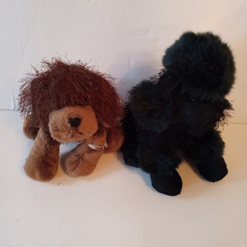 Ganz cane marrone barboncino - ganz,