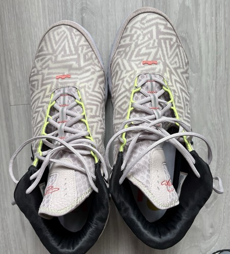 Scarpe basket lebron - scarpe,