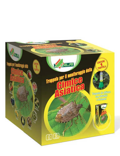 Trappola per cimice asiatica - per,