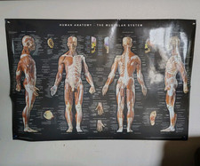 Poster da parete autotest