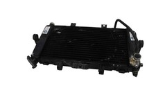 RADIATORE ACQUA YAMAHA TDM 850