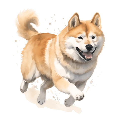 Adesivi akita inu - 2,