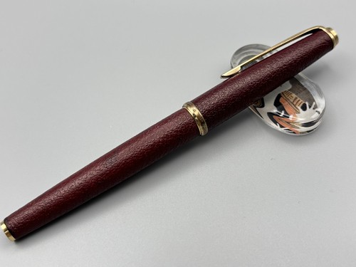 Penna stilografica platino