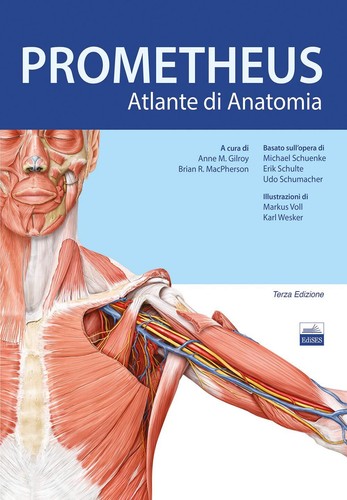 Prometheus altante di - prometheus.,