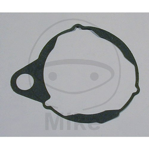 Guarnizione carter alternatore - carter,