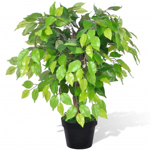 Ficus pianta artificiale - , 60