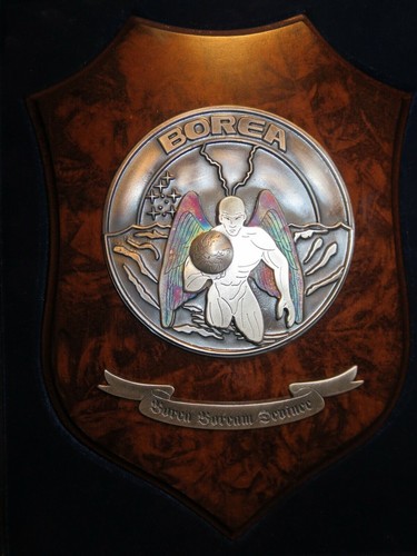 Vecchio crest metallo - vecchio,