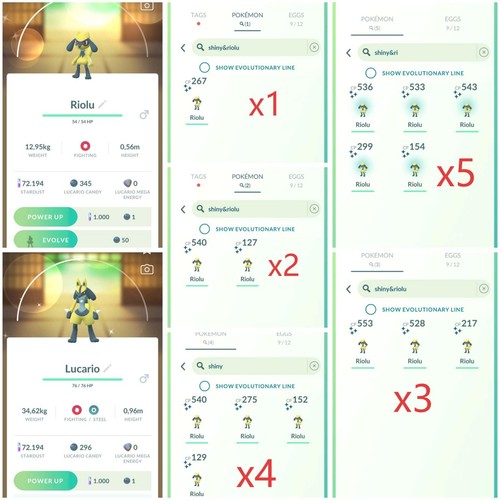 Shiny riolu lucario p - ✨,