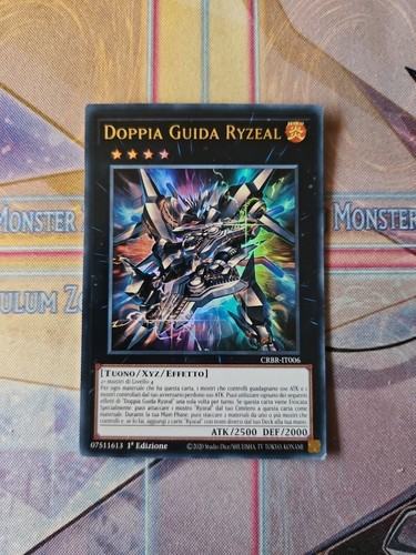 Doppia guida ryzeal - guida,