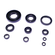 Set Di Guarnizioni Del Motore