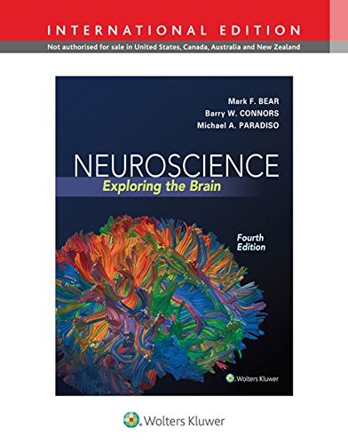 Neuroscience exploring the - neuroscience:,
