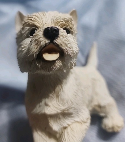 West highland terrier puppy - west,