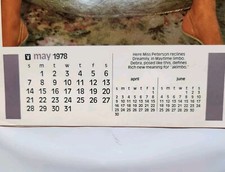 Playboy Calendario Vintage