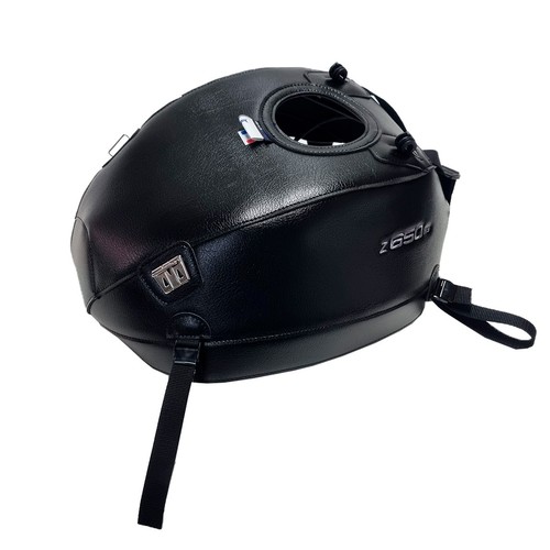 Kawasaki 650 2026 bagster - kawasaki, rs