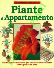 JANTRA Helmut - Il Grande