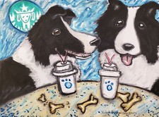 BORDER COLLIE at Starbarks