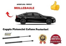 Molle a Gas Pistoncini