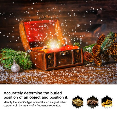 Professional gold detector - professional,