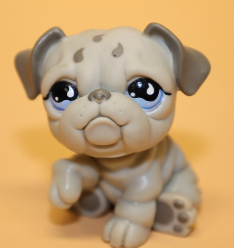 Hasbro littlest pet shop doge - littlest,
