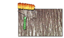 Rullo per Rivestimento