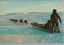 Cartolina Del Posto Chrome