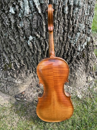 Antico stainer marcato per - antico,