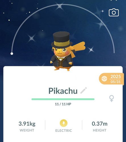 Costume pokemon pikachu - pokemon,