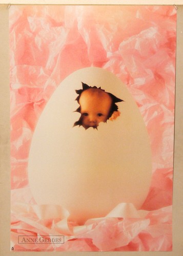 1993 anne geddes bimbo - 1993,