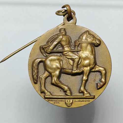 Medaglia adunata nazionale - medaglia,