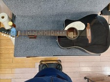 Chitarra elettrica acustica