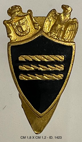 Mvsn regio esercito - mvsn,