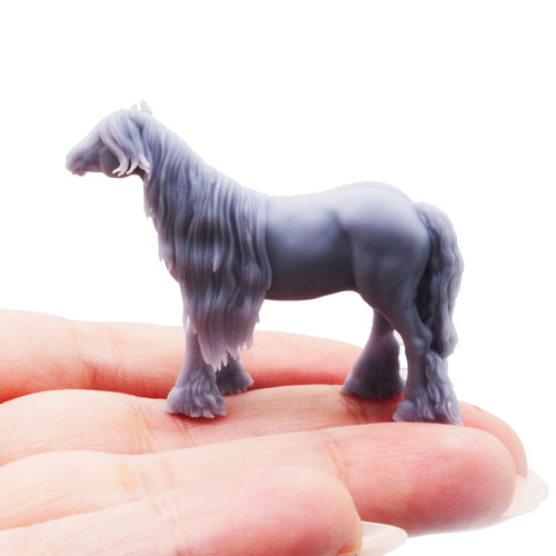 Gypsy vanner cob - gypsy,