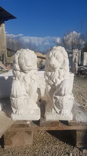 Coppia leoni leone in - leoni,