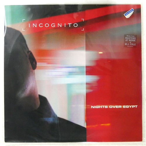 Incognito nights over egypt - over,