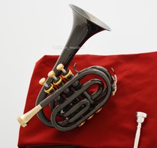 Campana capovolta tromba