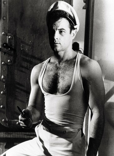 Photo querelle brad davis - photo,