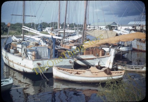 Tarpon springs florida - tarpon, barche