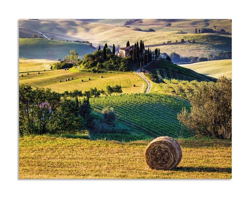 Quadro stampa pannello in - stampa,