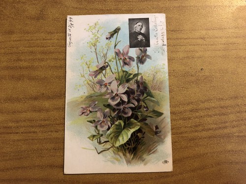 Cartolina illustrata fiori - cartolina,