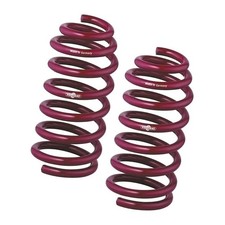 Vogtland Lowered Springs Trim